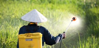 domestic-production-covers-73-of-fertiliser-needs-in-2025