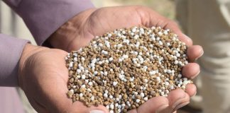 government-tightens-pk-fertilizer-supply-pricing