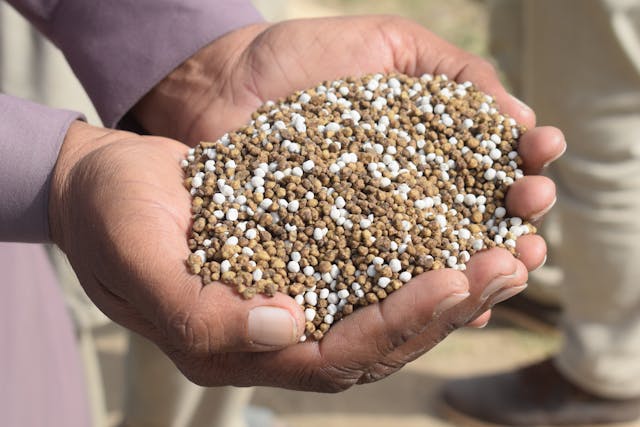 Government Tightens P&K Fertilizer Supply Pricing government-tightens-pk-fertilizer-supply-pricing