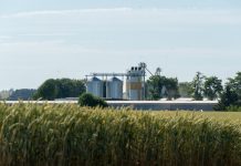 motipur-strengthens-bihars-ethanol-production-base
