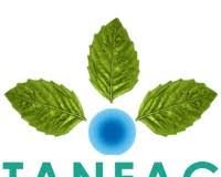 tanfac-invests-₹495-crore-in-cuddalore-fluorochemicals-facility