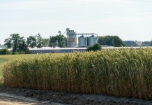 aida-highlights-ethanol-diesel-blending-as-key-to-biofuel-future