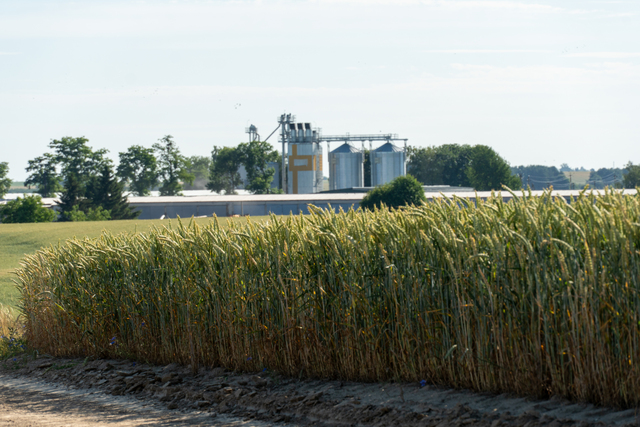 AIDA Highlights Ethanol–Diesel Blending as Key to India’s Biofuel Future