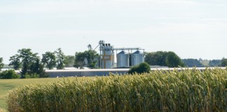 distilleries-margin-squeeze-despite-growth-in-ethanol-output