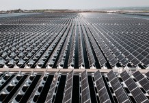 xfloat-and-basf-collaborate-to-strengthen-solar-infrastructure-resilience