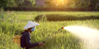 indian-fertiliser-producers-cut-urea-output-amid-lng-disruptions