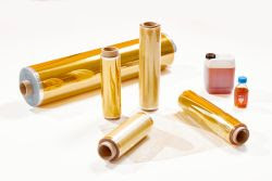 Evonik Launches Anion Exchange Membrane Technology Center in Shanghai
