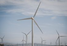 Meta and CleanMax Advance Renewable Energy Initiative in India